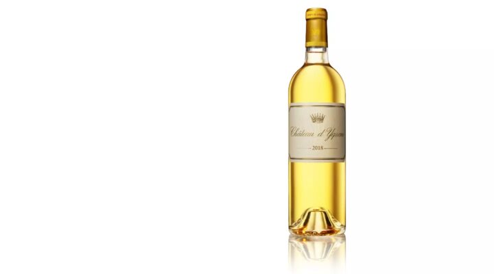 Immersion Yquem