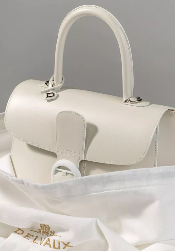 sac le brillant Delvaux